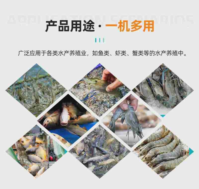 图为开耕仪式正式开始