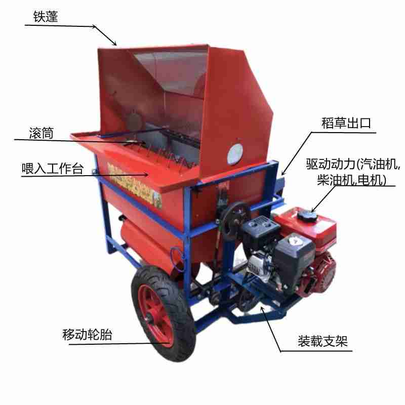 一场全民赛事,一次全城狂欢。