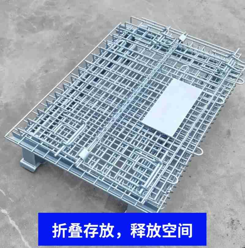 王晴在为学生们上课(央广网发 受访者供图)